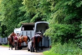 horse trailer insurance