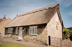 thatchline roof insurance